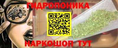 индика Волжский