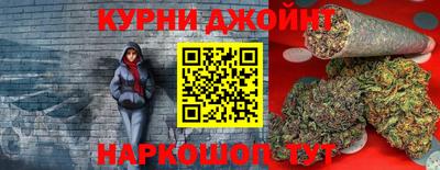 МДПВ Волгодонск
